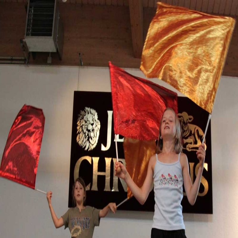 Xl Flagge Jesus The Glory Loewe Banner